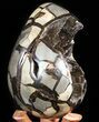 Septarian Dragon Egg Geode - Black Crystals #50827-2